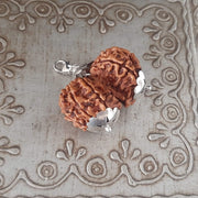Collector Size Gauri Shankar Rudraksha Pendant - Divine Harmony | Brahmatells - BrahmatellsStore