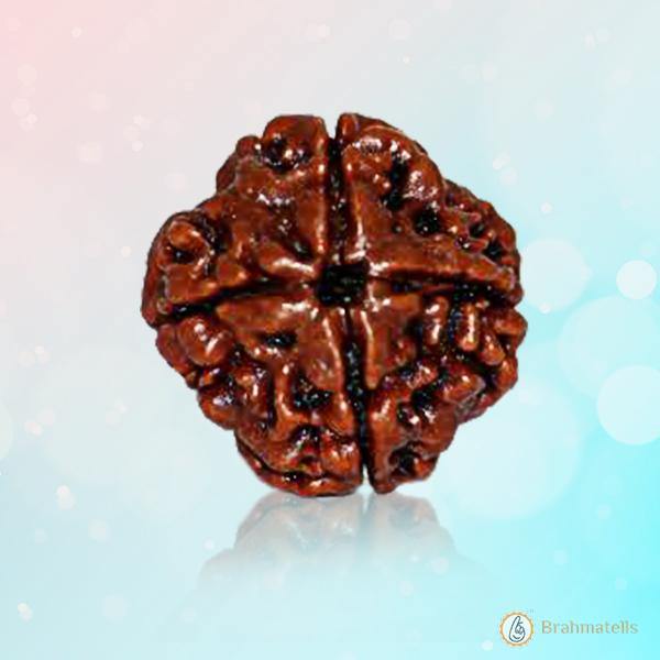 Dark Brown 4 Mukhi Rudraksha Bead - Channeling Brahma's Wisdom | Brahmatells - BrahmatellsStore