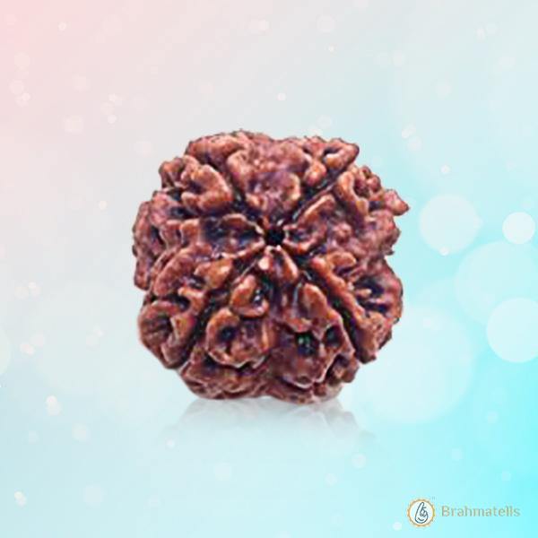 Dark Brown 4 Mukhi Rudraksha Bead - Wisdom of Brahma | Brahmatells - BrahmatellsStore