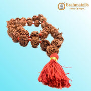 Divine Ganesh Rudraksha Mala - Spiritual Enlightenment | Brahmatells - BrahmatellsStore