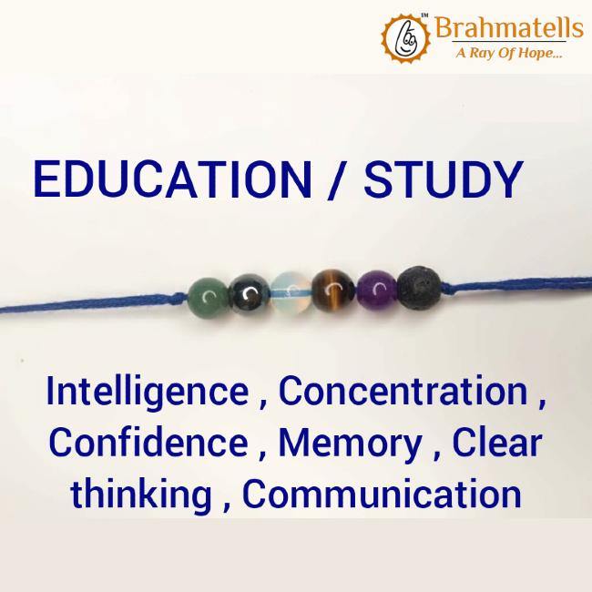Education/ Study - BrahmatellsStore