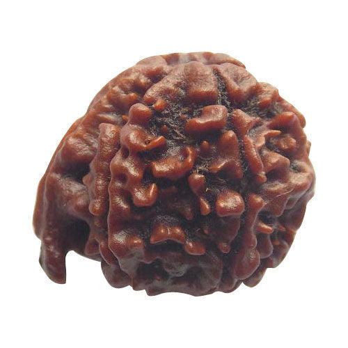 Embrace Lord Ganesha's Wisdom with Ganesh Rudraksha | Brahmatells - BrahmatellsStore