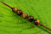 Empower Your Focus: Tiger's Eye Band | Brahmatells - BrahmatellsStore