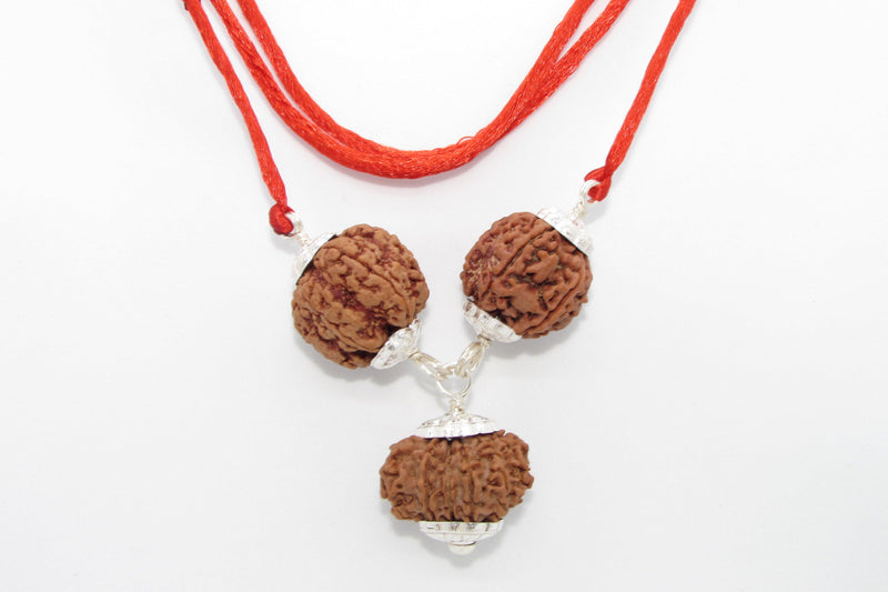 Empower Your Personality with Rudraksha Beads | Brahmatells - BrahmatellsStore