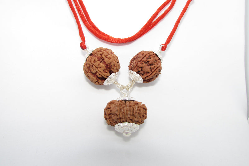 Empower Your Personality with Rudraksha Beads | Brahmatells - BrahmatellsStore