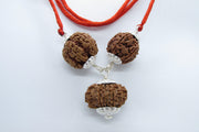 Empower Your Personality with Rudraksha Beads | Brahmatells - BrahmatellsStore
