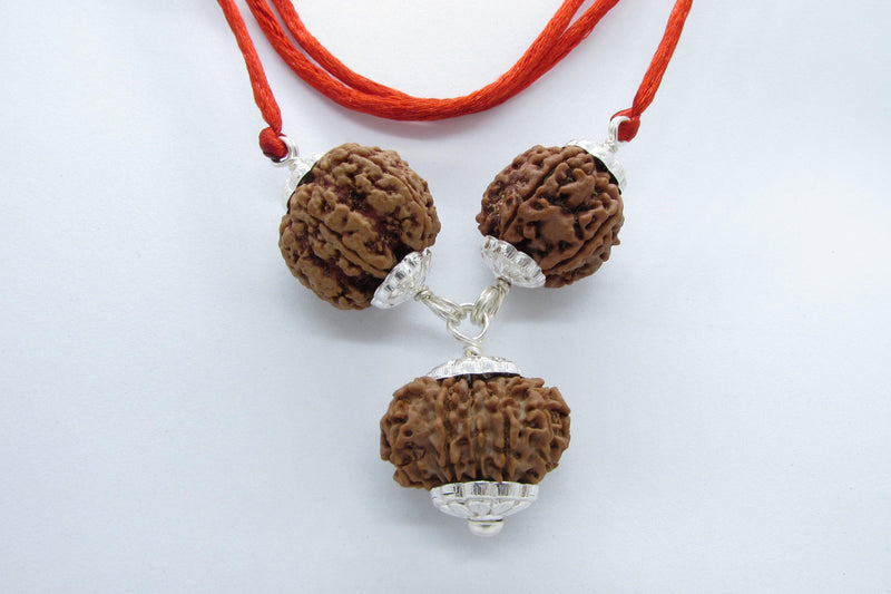 Empower Your Personality with Rudraksha Beads | Brahmatells - BrahmatellsStore