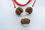 Empower Your Personality with Rudraksha Beads | Brahmatells - BrahmatellsStore
