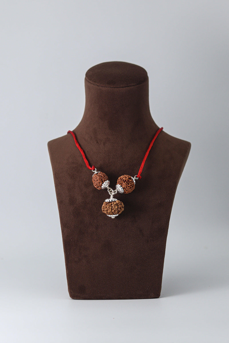 Enhance Career Prospects with Rudraksha for Salary Increment | Brahmatells - BrahmatellsStore