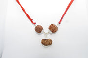 Enhance Career Prospects with Rudraksha for Salary Increment | Brahmatells - BrahmatellsStore