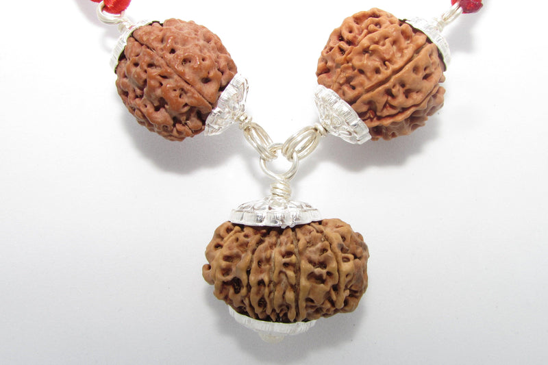 Enhance Career Prospects with Rudraksha for Salary Increment | Brahmatells - BrahmatellsStore