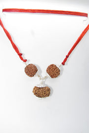 Enhance Career Prospects with Rudraksha for Salary Increment | Brahmatells - BrahmatellsStore