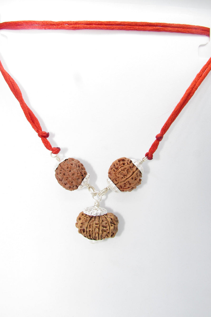 Enhance Career Prospects with Rudraksha for Salary Increment | Brahmatells - BrahmatellsStore