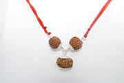 Enhance Career Prospects with Rudraksha for Salary Increment | Brahmatells - BrahmatellsStore
