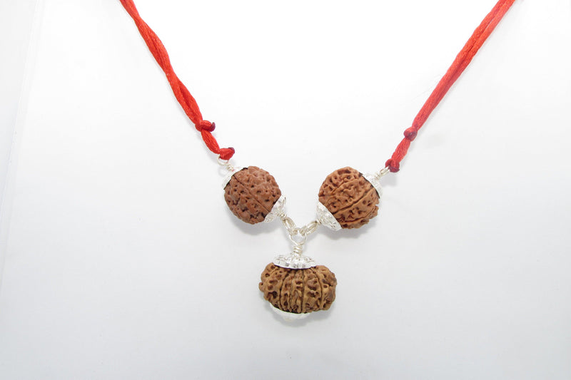 Enhance Career Prospects with Rudraksha for Salary Increment | Brahmatells - BrahmatellsStore
