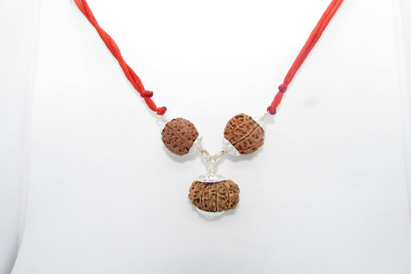 Enhance Career Prospects with Rudraksha for Salary Increment | Brahmatells - BrahmatellsStore
