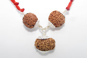 Enhance Career Prospects with Rudraksha for Salary Increment | Brahmatells - BrahmatellsStore