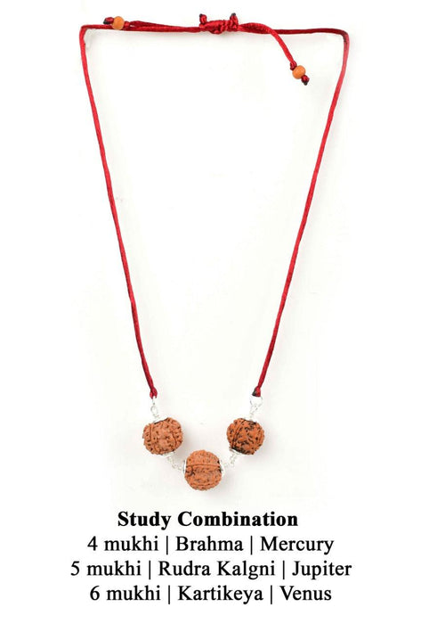 Enhance Learning & Creativity with Study Enhancement Rudraksha Combination | Brahmatells - BrahmatellsStore