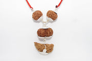 Enhance Your Meditation with Special Rudraksha Combination | Brahmatells - BrahmatellsStore