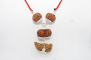 Enhance Your Meditation with Special Rudraksha Combination | Brahmatells - BrahmatellsStore