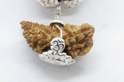 Enhance Your Meditation with Special Rudraksha Combination | Brahmatells - BrahmatellsStore