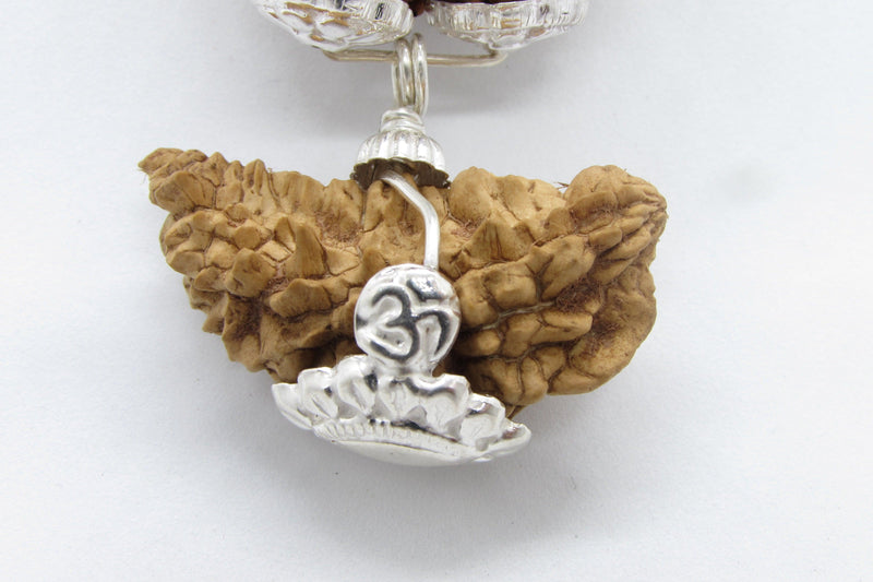 Enhance Your Meditation with Special Rudraksha Combination | Brahmatells - BrahmatellsStore
