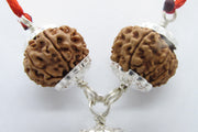 Enhance Your Meditation with Special Rudraksha Combination | Brahmatells - BrahmatellsStore