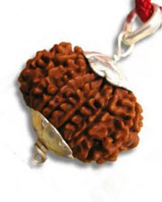 Exclusive 13 Mukhi Rudraksha Pendant for Charismatic Influence | Brahmatells - BrahmatellsStore