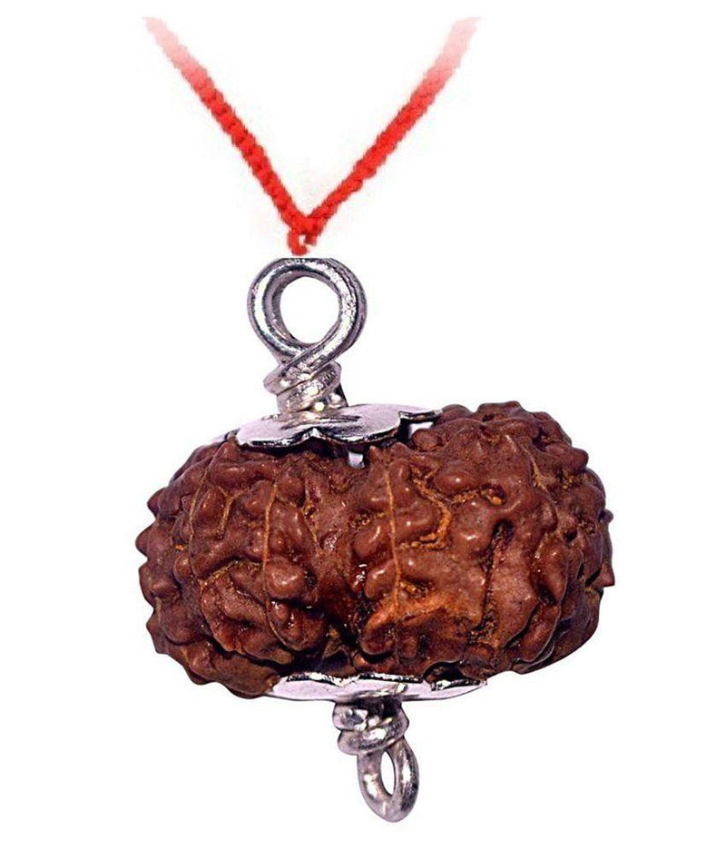 Exclusive 13 Mukhi Rudraksha Pendant for Charismatic Influence | Brahmatells - BrahmatellsStore