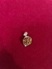 Exclusive Indian 1 Mukhi Rudraksha for Spiritual Mastery | Brahmatells - BrahmatellsStore