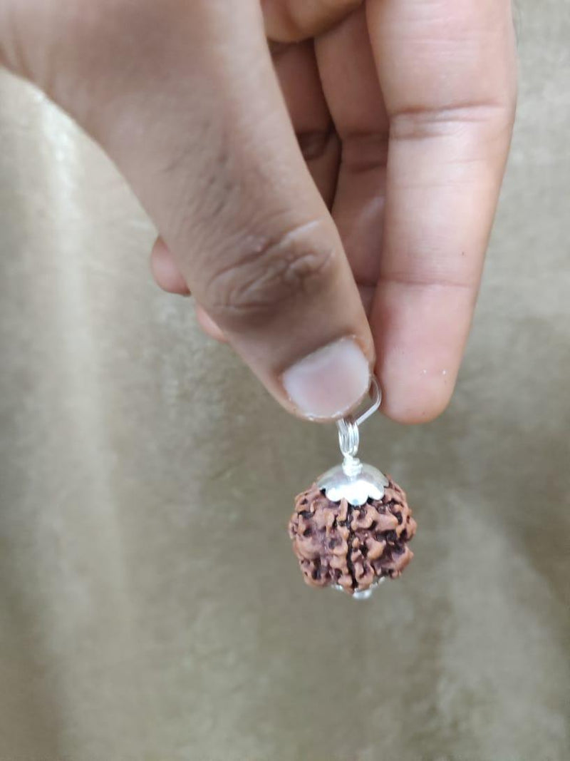 Exclusive Indian 1 Mukhi Rudraksha for Spiritual Mastery | Brahmatells - BrahmatellsStore