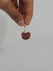 Exclusive Indian 1 Mukhi Rudraksha for Spiritual Mastery | Brahmatells - BrahmatellsStore