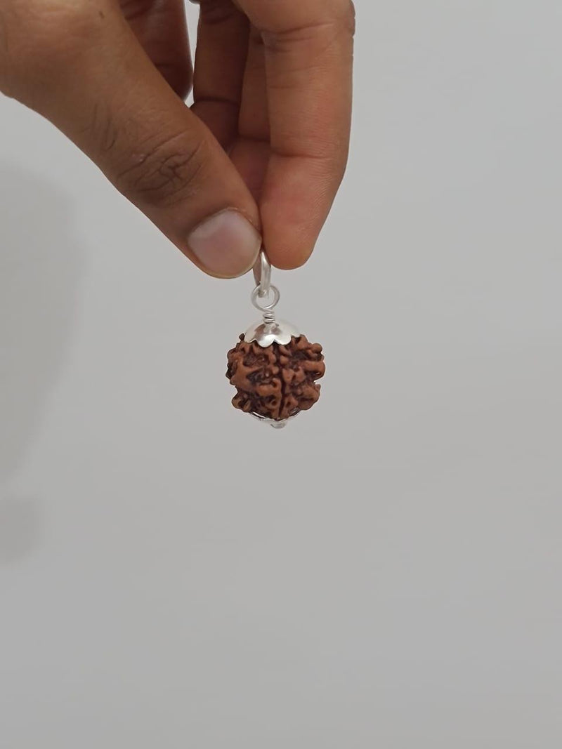 Exclusive Indian 1 Mukhi Rudraksha for Spiritual Mastery | Brahmatells - BrahmatellsStore