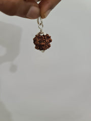 Exclusive Indian 1 Mukhi Rudraksha for Spiritual Mastery | Brahmatells - BrahmatellsStore
