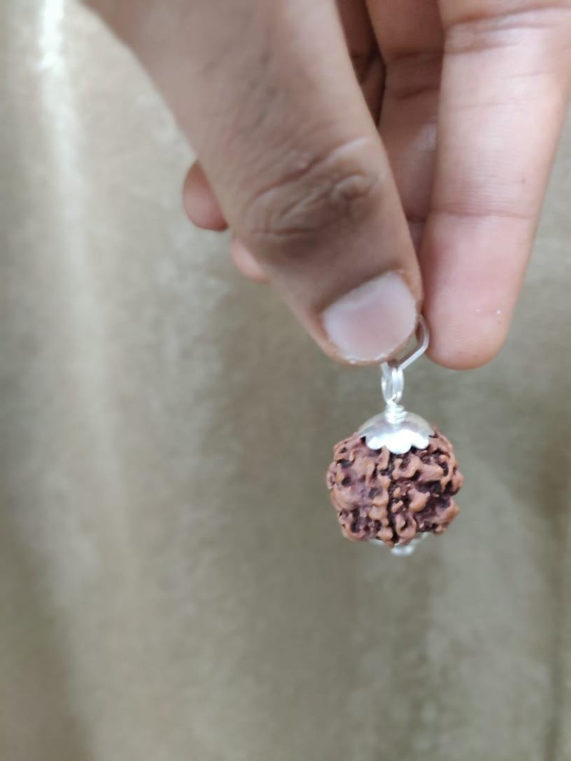 Exclusive Indian 1 Mukhi Rudraksha for Spiritual Mastery | Brahmatells - BrahmatellsStore