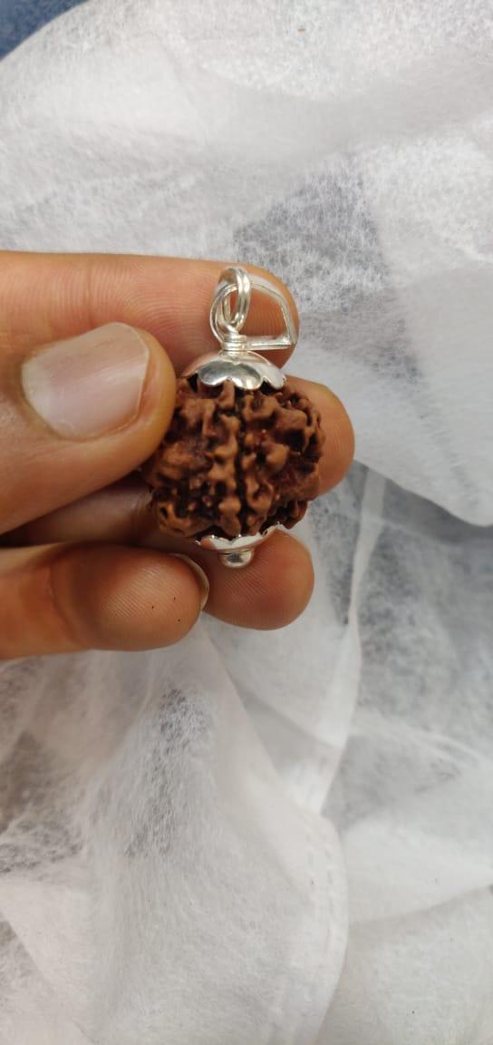 Exclusive Indian 1 Mukhi Rudraksha for Spiritual Mastery | Brahmatells - BrahmatellsStore