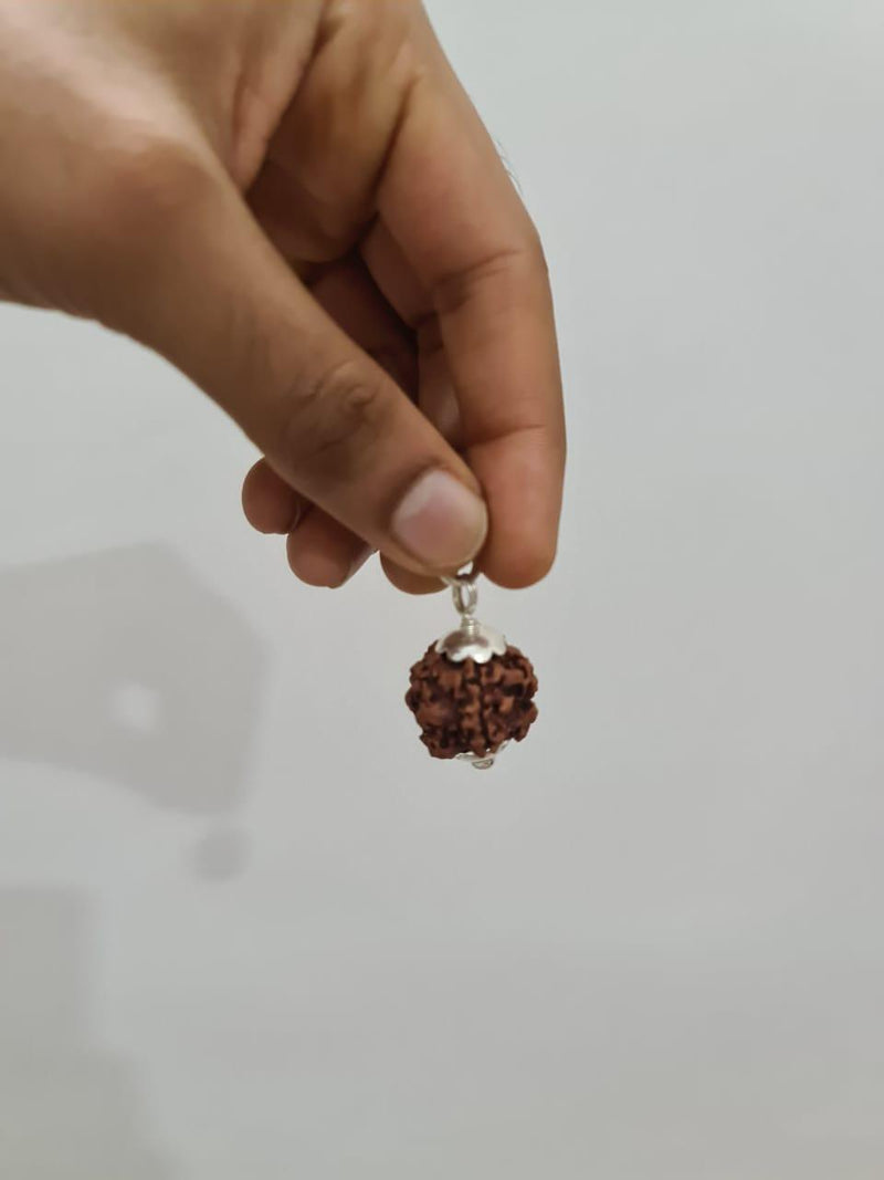 Exclusive Indian 1 Mukhi Rudraksha for Spiritual Mastery | Brahmatells - BrahmatellsStore