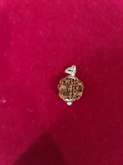 Exclusive Indian 1 Mukhi Rudraksha for Spiritual Mastery | Brahmatells - BrahmatellsStore