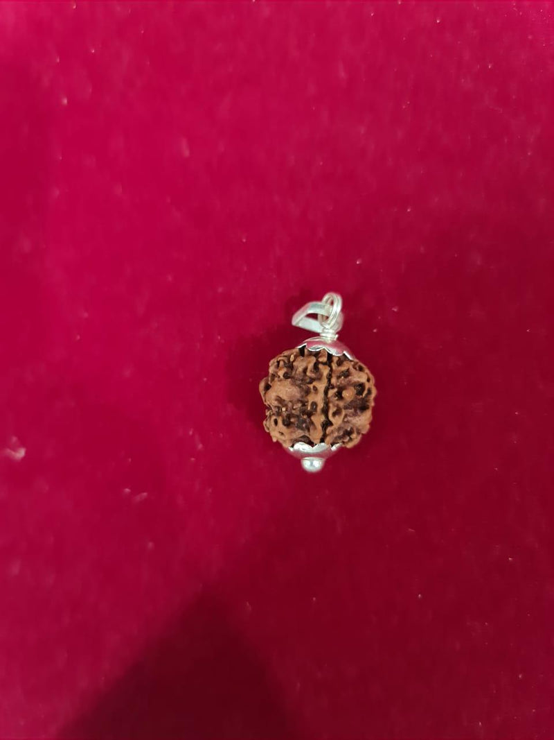 Exclusive Indian 1 Mukhi Rudraksha for Spiritual Mastery | Brahmatells - BrahmatellsStore