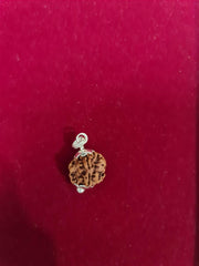 Exclusive Indian 1 Mukhi Rudraksha for Spiritual Mastery | Brahmatells - BrahmatellsStore