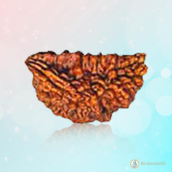 Exclusive One Mukhi Rudraksha Pendant in Reddish-Brown - Emblem of Shiva's Wisdom | Brahmatells - BrahmatellsStore