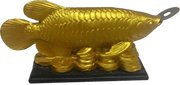 Feng Shui Golden Arowana Fish Strong Wealth Symbol & Protects From Mishaps, Troubles - BrahmatellsStore