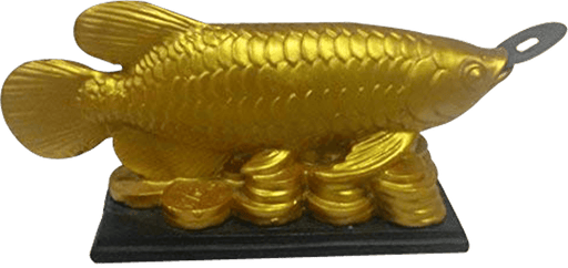 Feng Shui Golden Arowana Fish Strong Wealth Symbol & Protects From Mishaps, Troubles - BrahmatellsStore