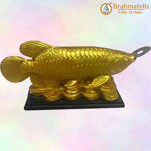 Feng Shui Golden Arowana Fish Strong Wealth Symbol & Protects From Mishaps, Troubles - BrahmatellsStore