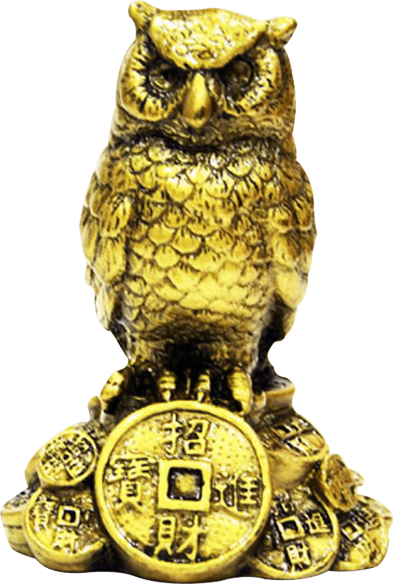 Feng Shui Owl A Symbol Of Wisdom And Protection From Evil - BrahmatellsStore