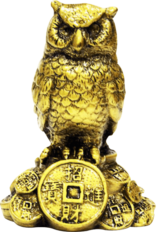Feng Shui Owl A Symbol Of Wisdom And Protection From Evil - BrahmatellsStore
