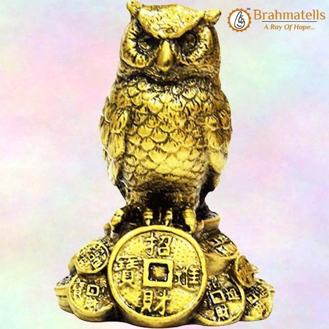 Feng Shui Owl A Symbol Of Wisdom And Protection From Evil - BrahmatellsStore