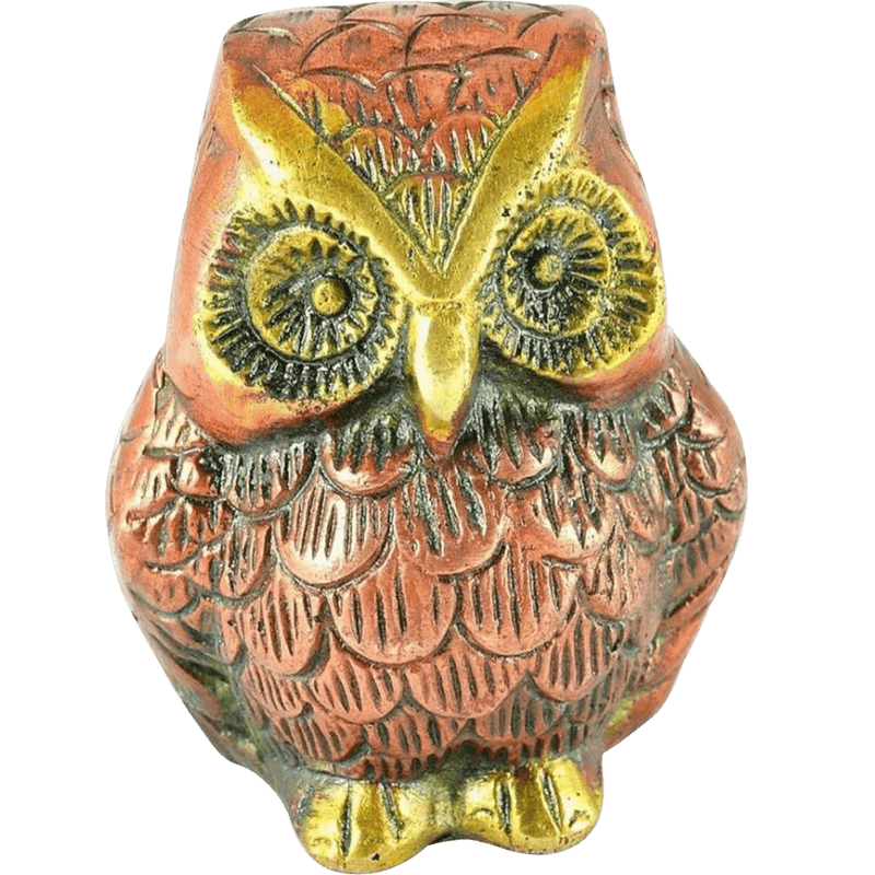 Fengshui-owl-for-good-health-wealth-prosperity-home - BrahmatellsStore