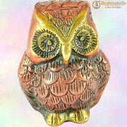 Fengshui-owl-for-good-health-wealth-prosperity-home - BrahmatellsStore