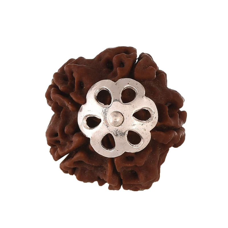 Five Mukhi Rudraksha Silver Pendant - Harness Lord Kaalagni Rudra's Energy | Brahmatells - BrahmatellsStore